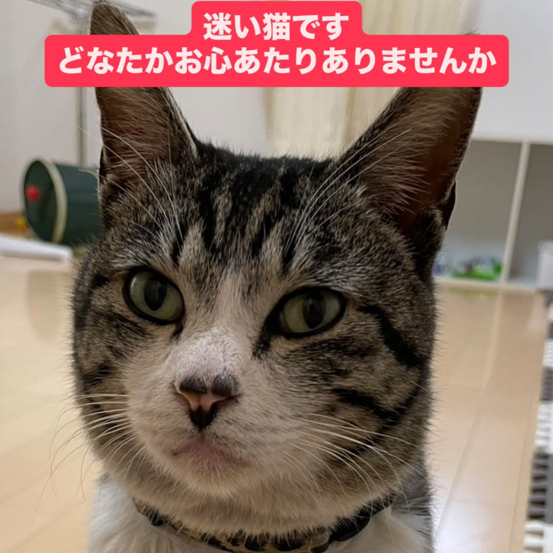 ご相談が来ました