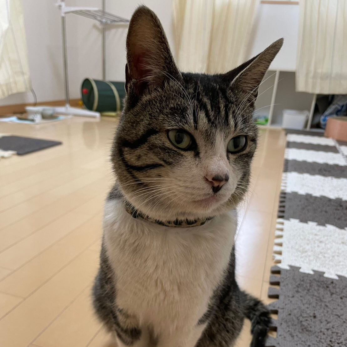 ご相談が来ました