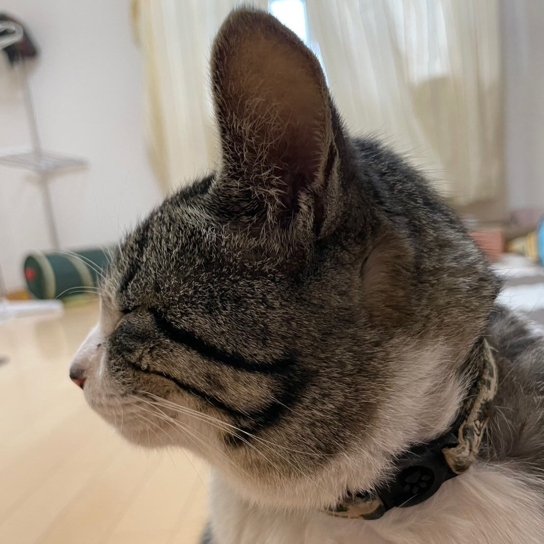 ご相談が来ました