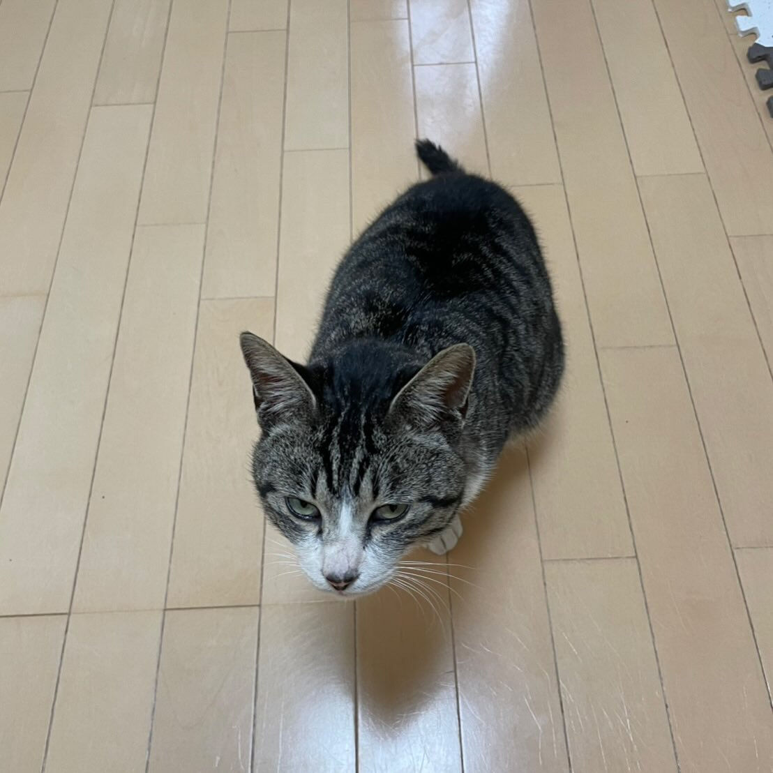 ご相談が来ました
