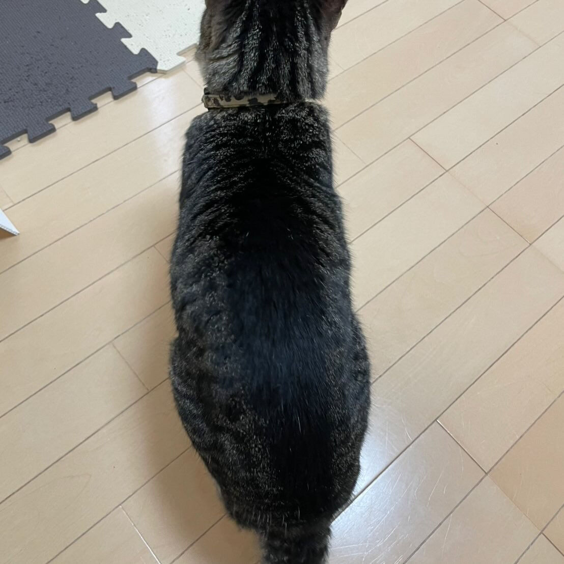 ご相談が来ました
