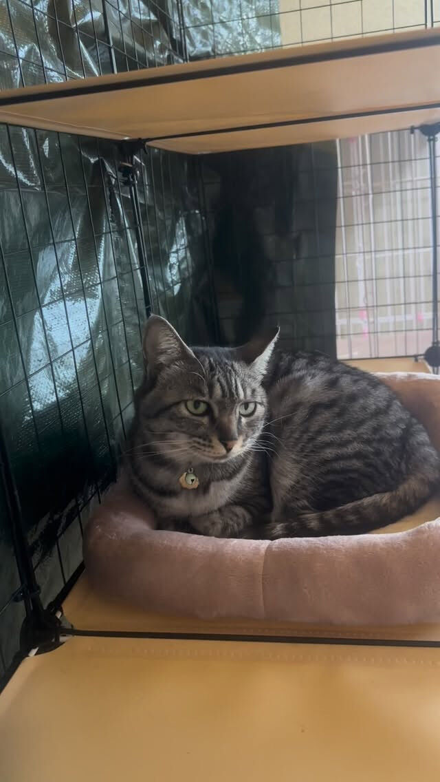 いつも近くで寄り添うよ🐾