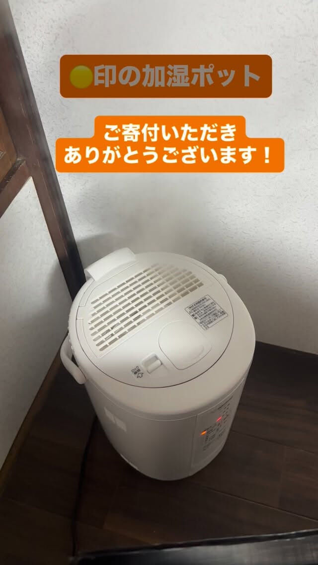 今日もお側にいさせてにゃ🐾