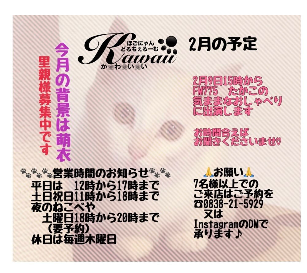 2月も癒し癒されますにゃ🐾