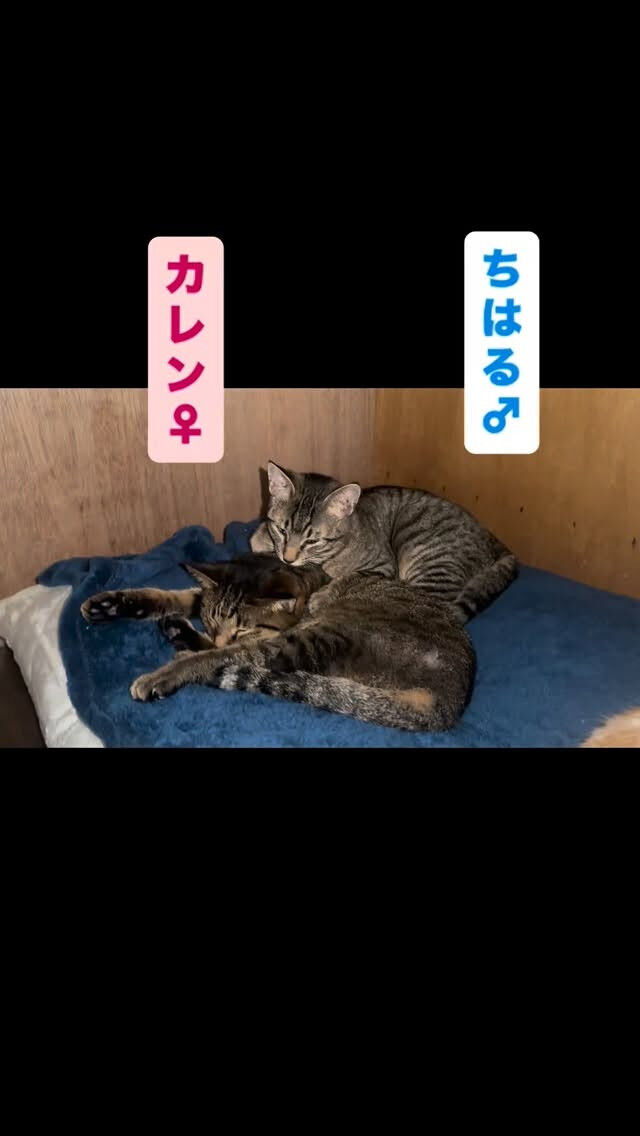 外は寒いけどここはあったか♨️