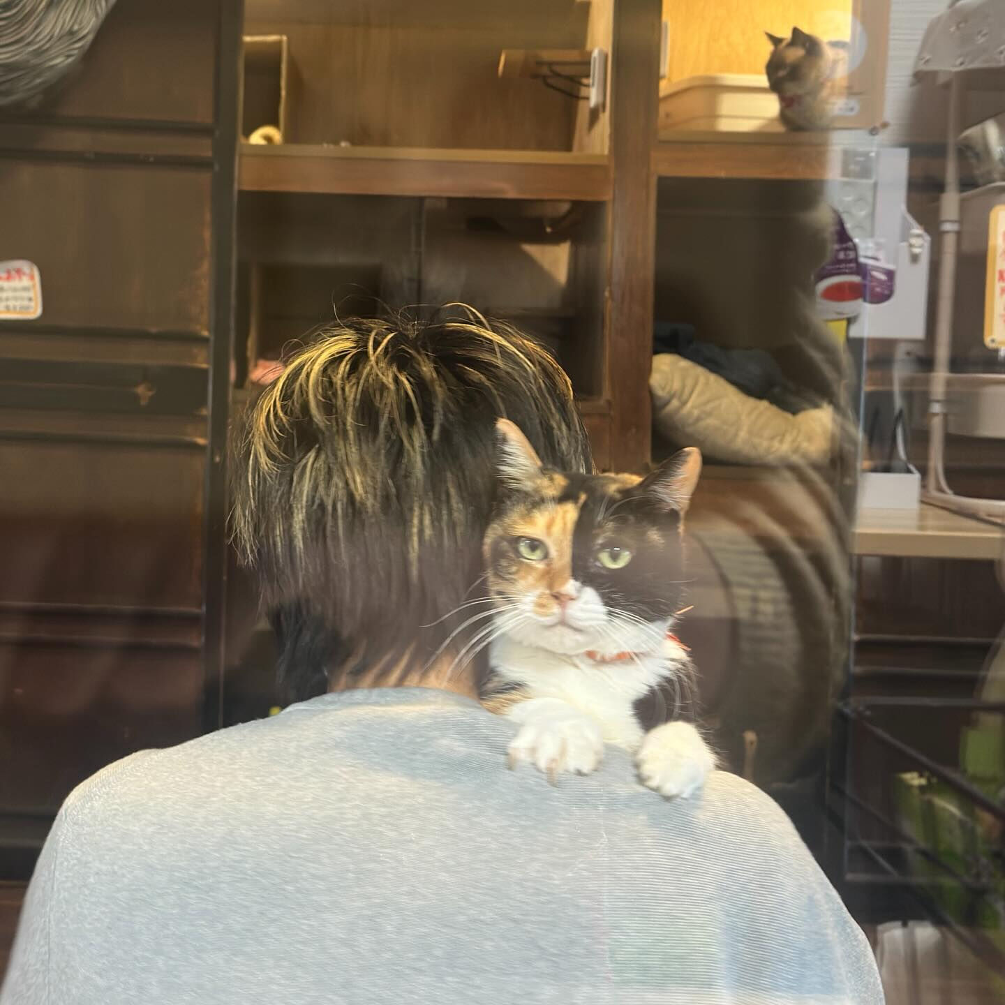 お客さまの肩が好き♡