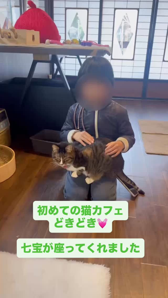小さいお子さんも大丈夫だよ🐾