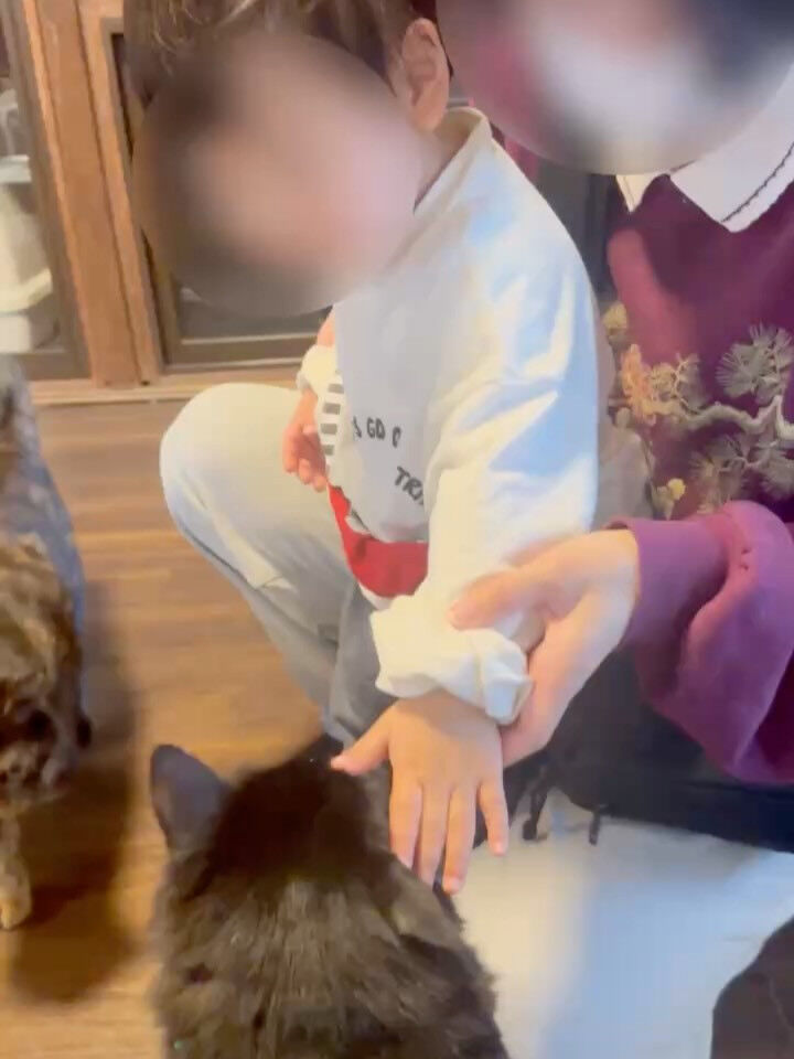 小さなお子様も来てにゃ🐾