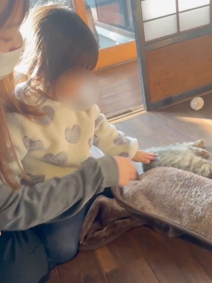 小さなお子様も来てにゃ🐾