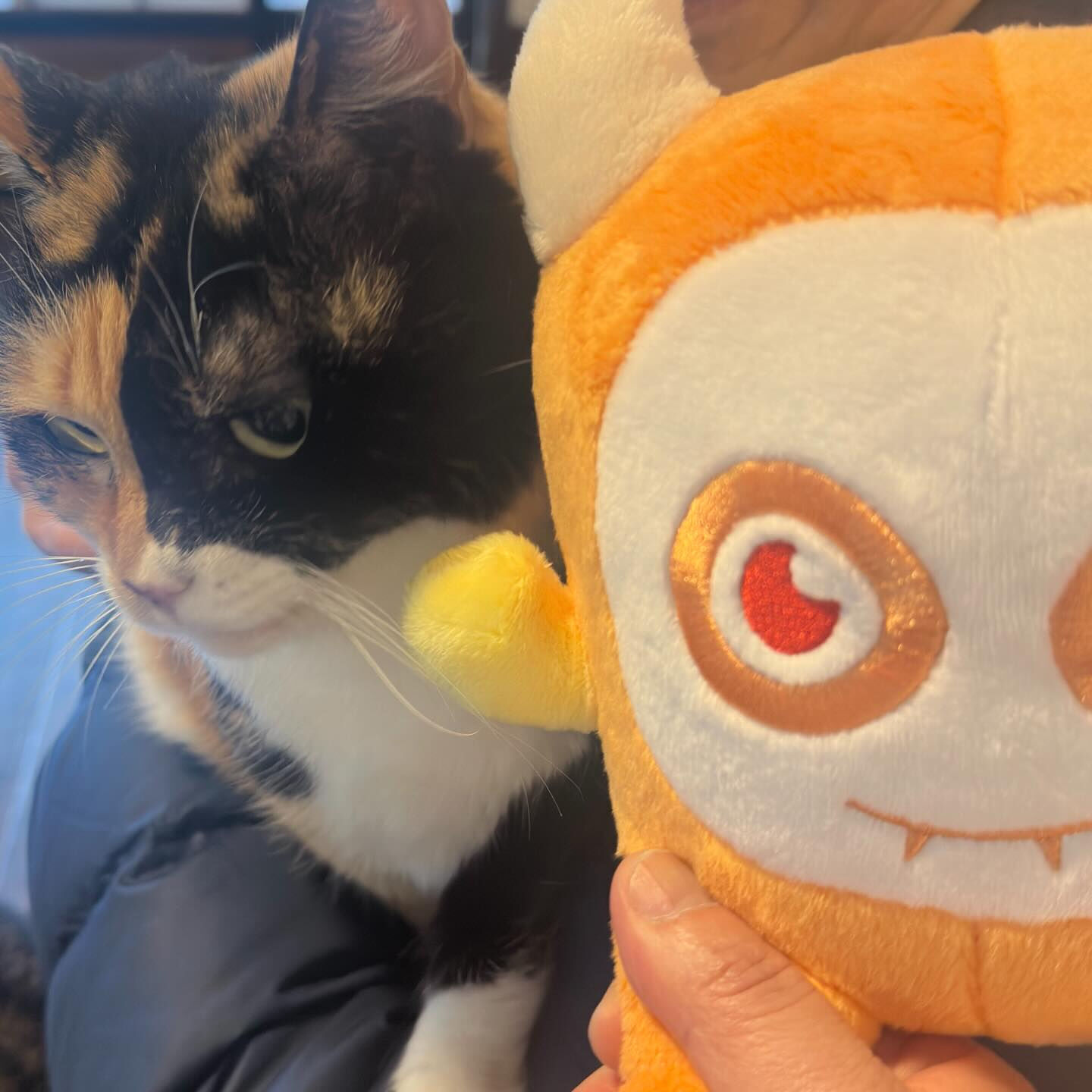 ねこべやはあたたかいにゃ🐾