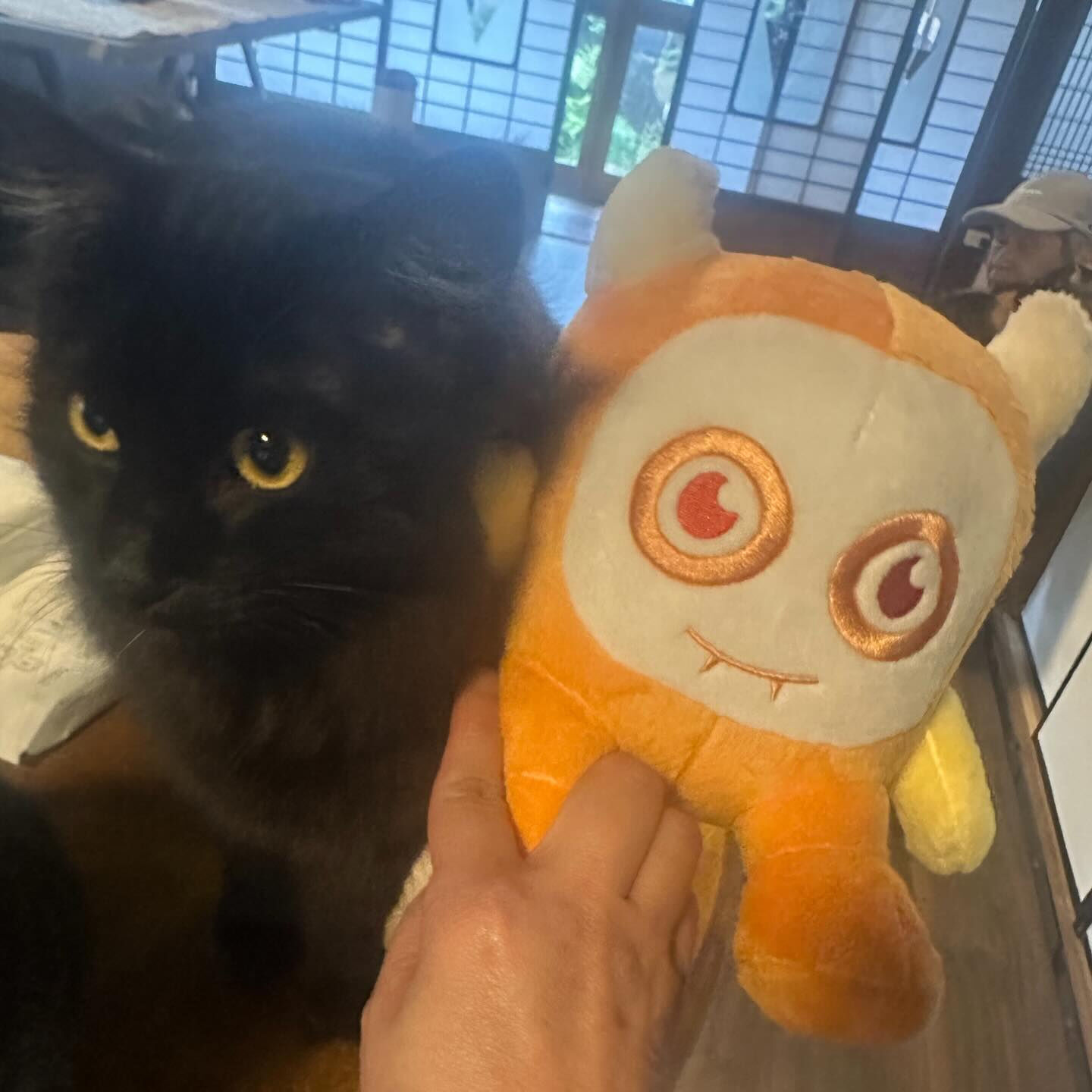 ねこべやはあたたかいにゃ🐾