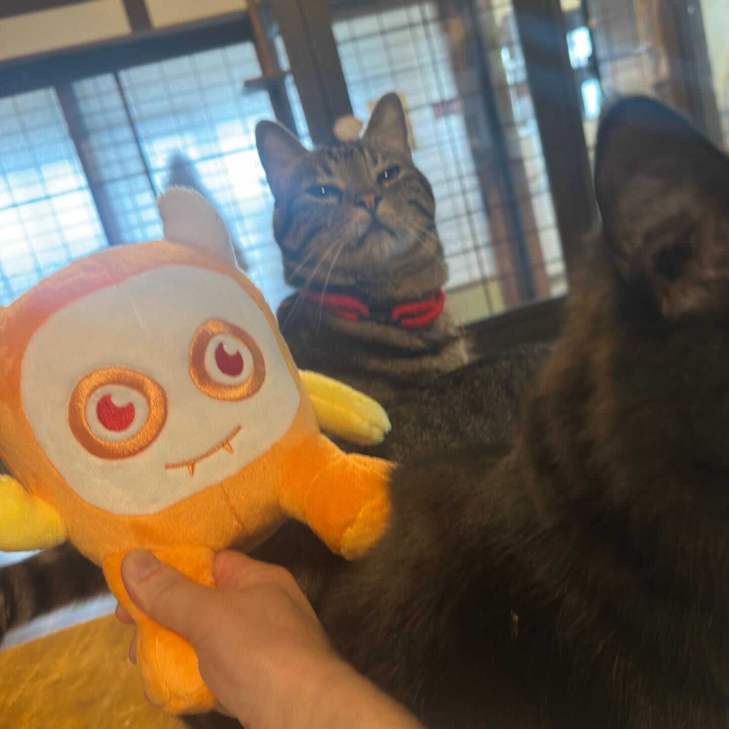 ねこべやはあたたかいにゃ🐾