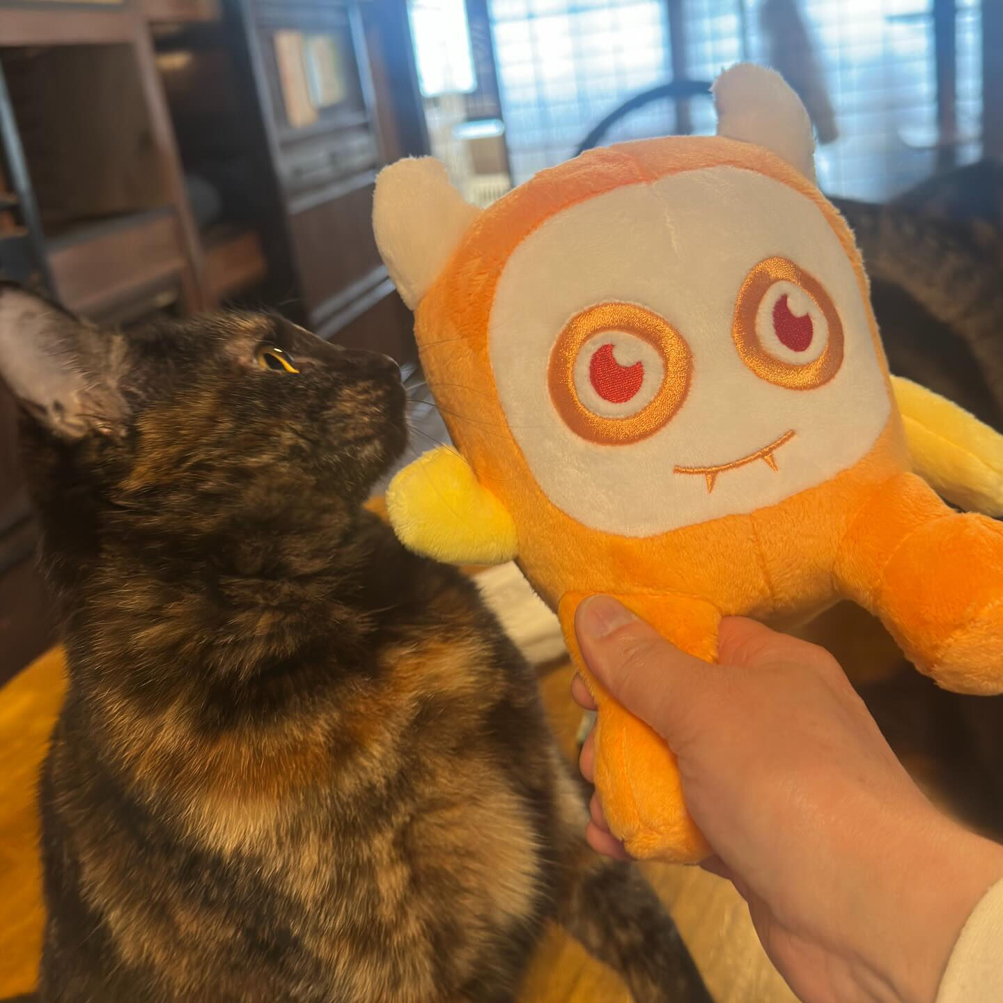 ねこべやはあたたかいにゃ🐾