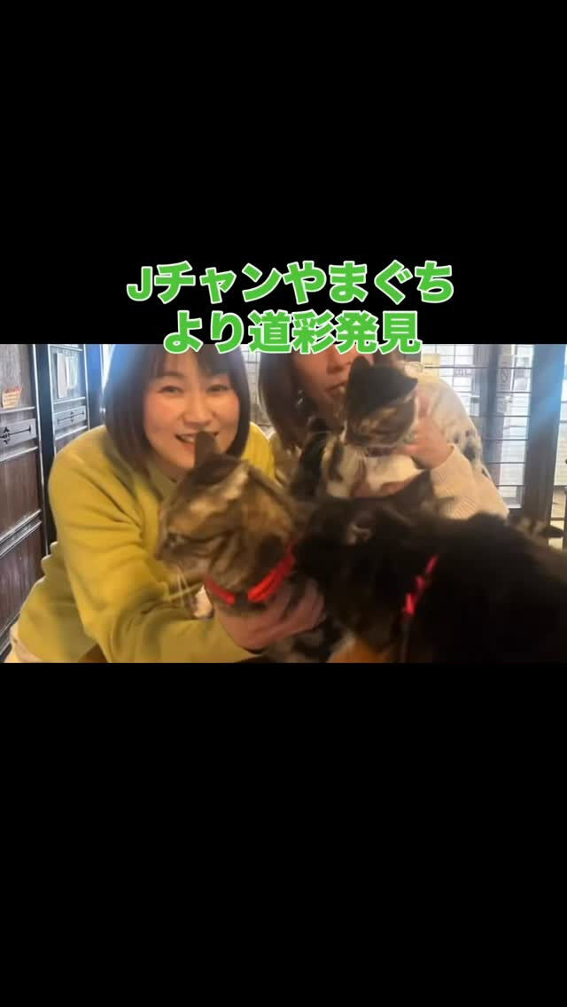 yabさん！ありがとうございました🙏