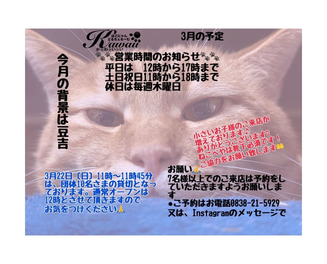 あっという間に3月ですね…
