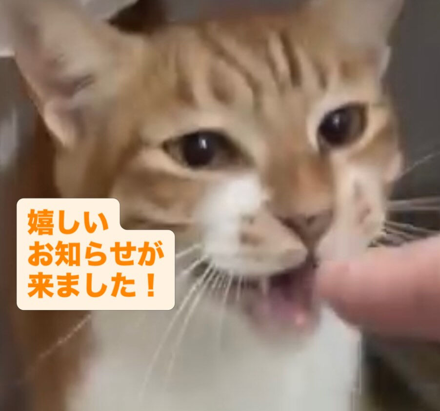 幸せがまたひとつ見つかりました♡