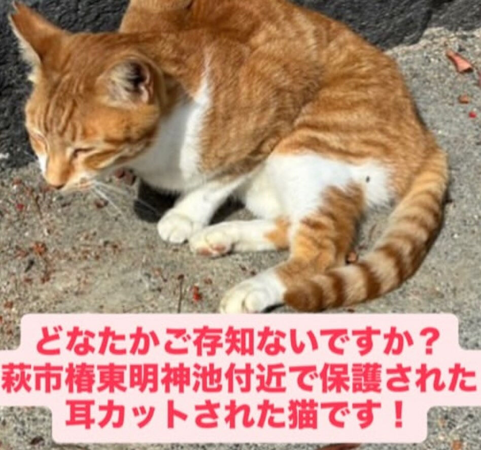 幸せがまたひとつ見つかりました♡