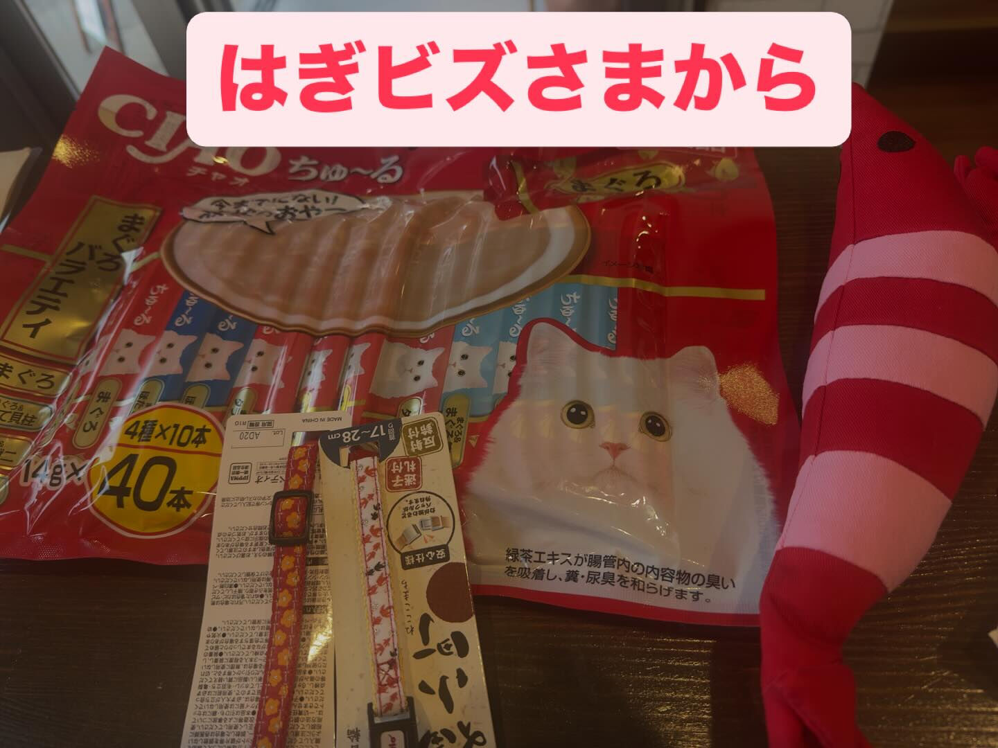 少し春めいて桜の開花が待ち遠しい🌸