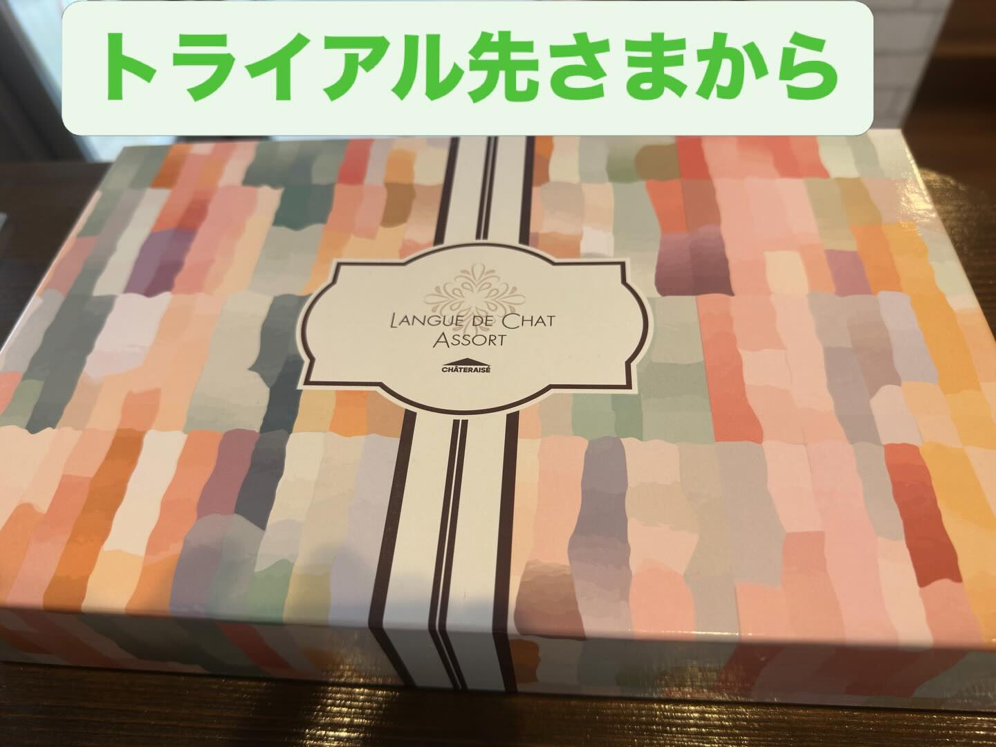 少し春めいて桜の開花が待ち遠しい🌸