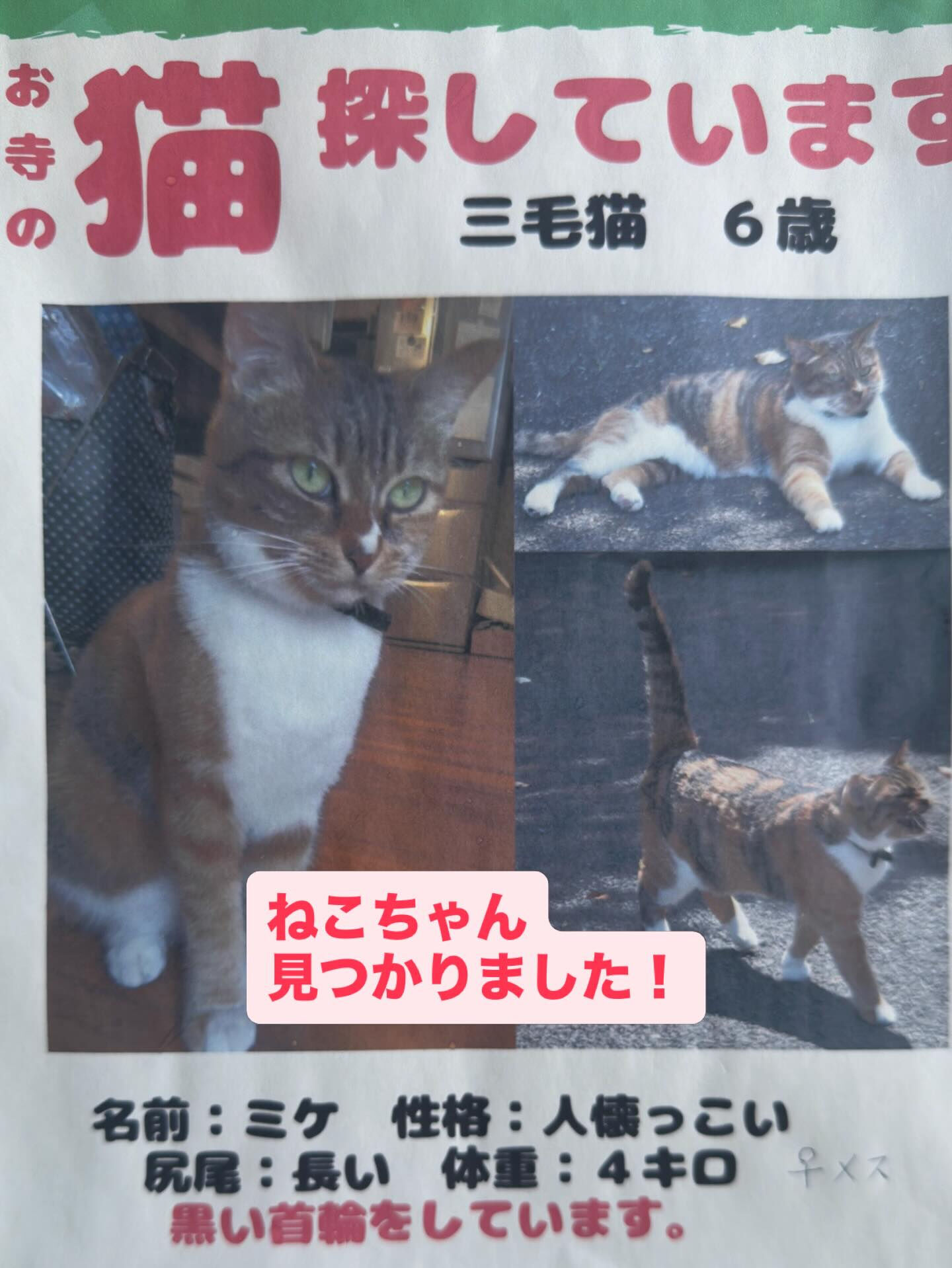 どうやってここまで来たの？