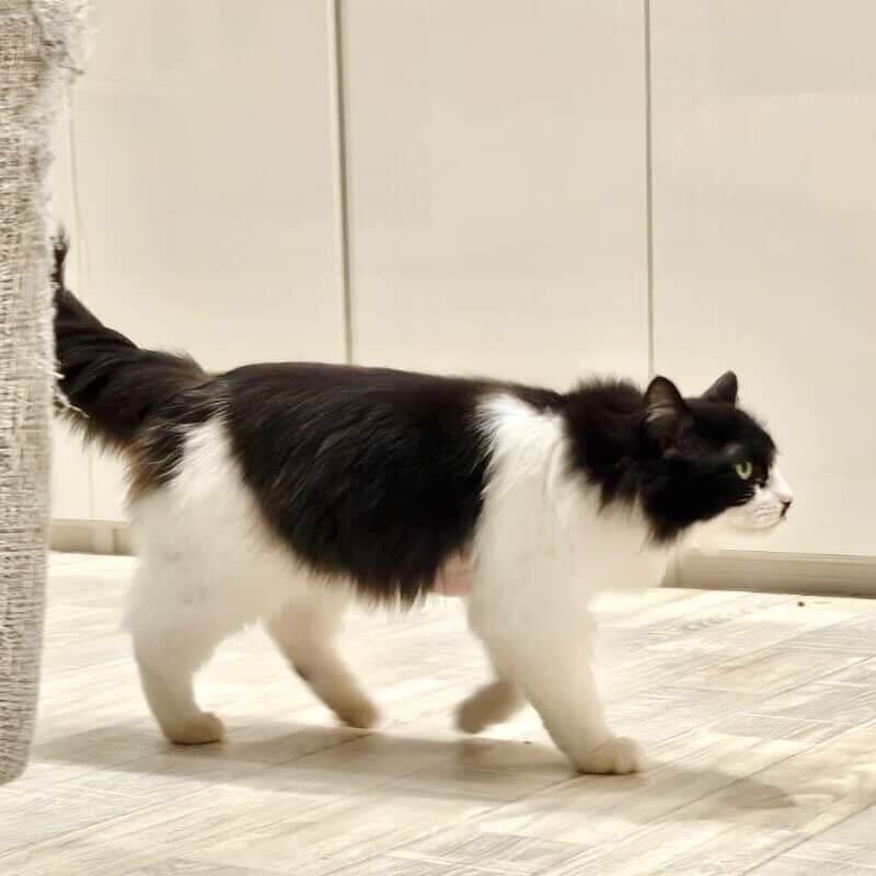 毎日が譲渡会だよ♡