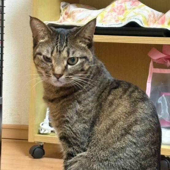 里親様が決まりました♡