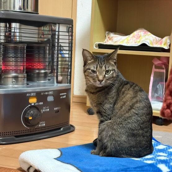 里親様が決まりました♡