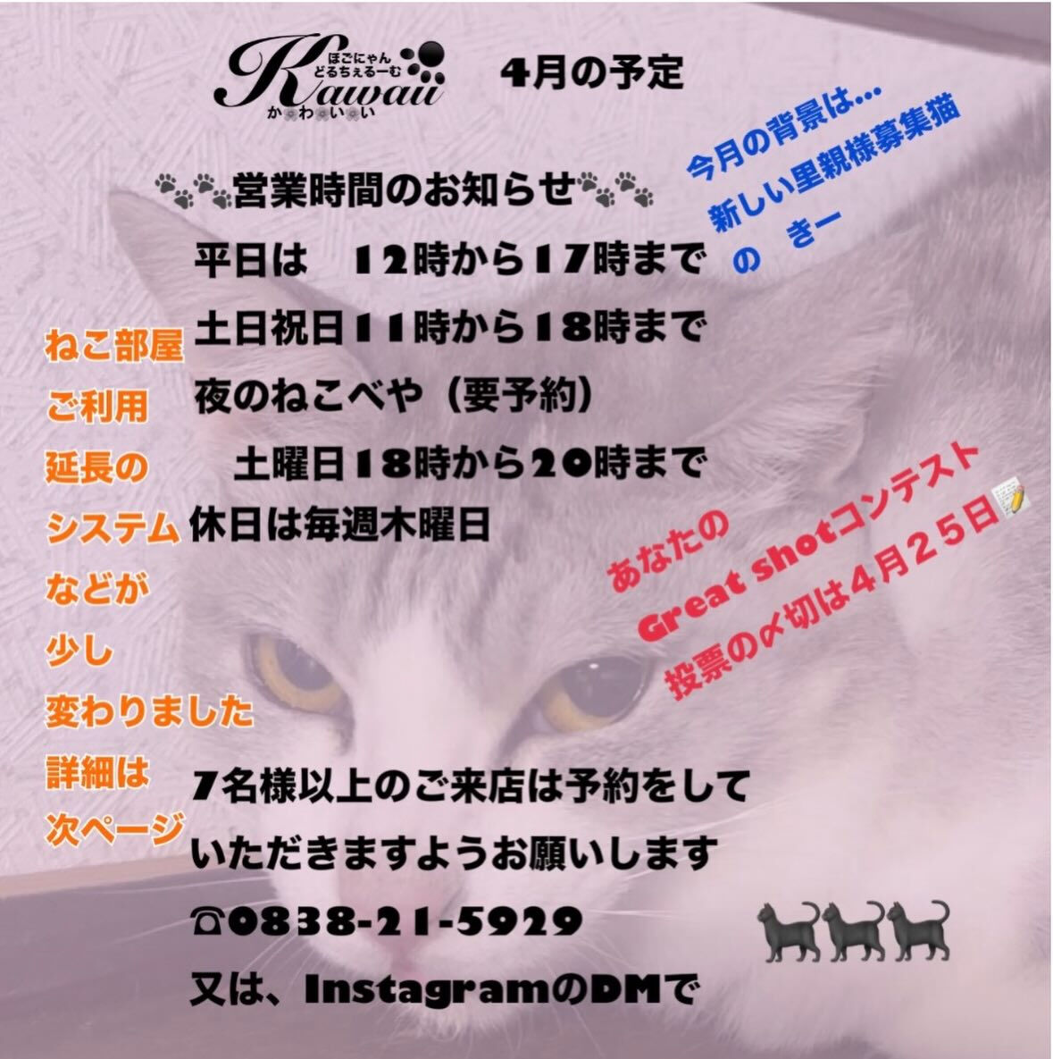 春の雨☂️も大丈夫