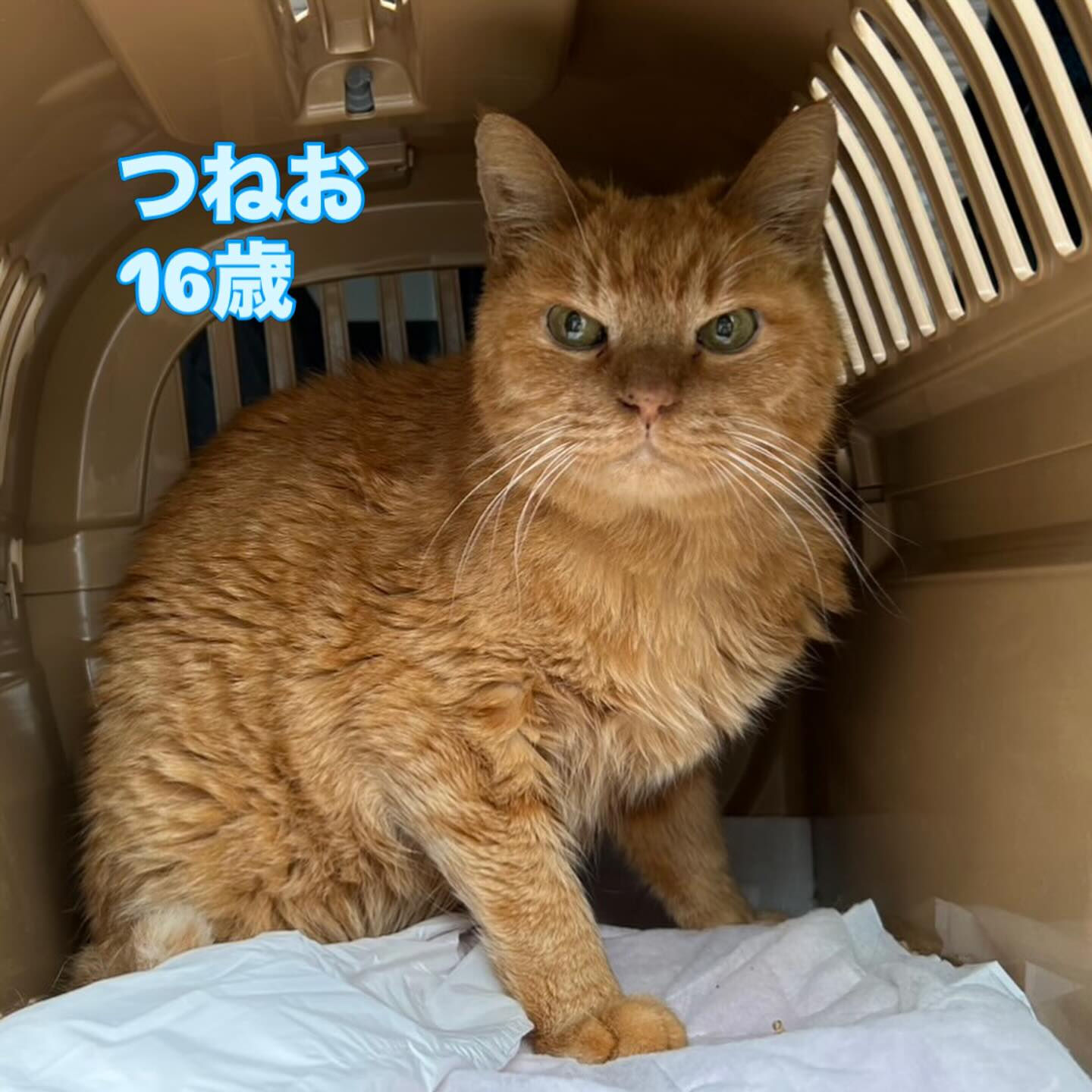 ボランティアさん💕感謝しています♡