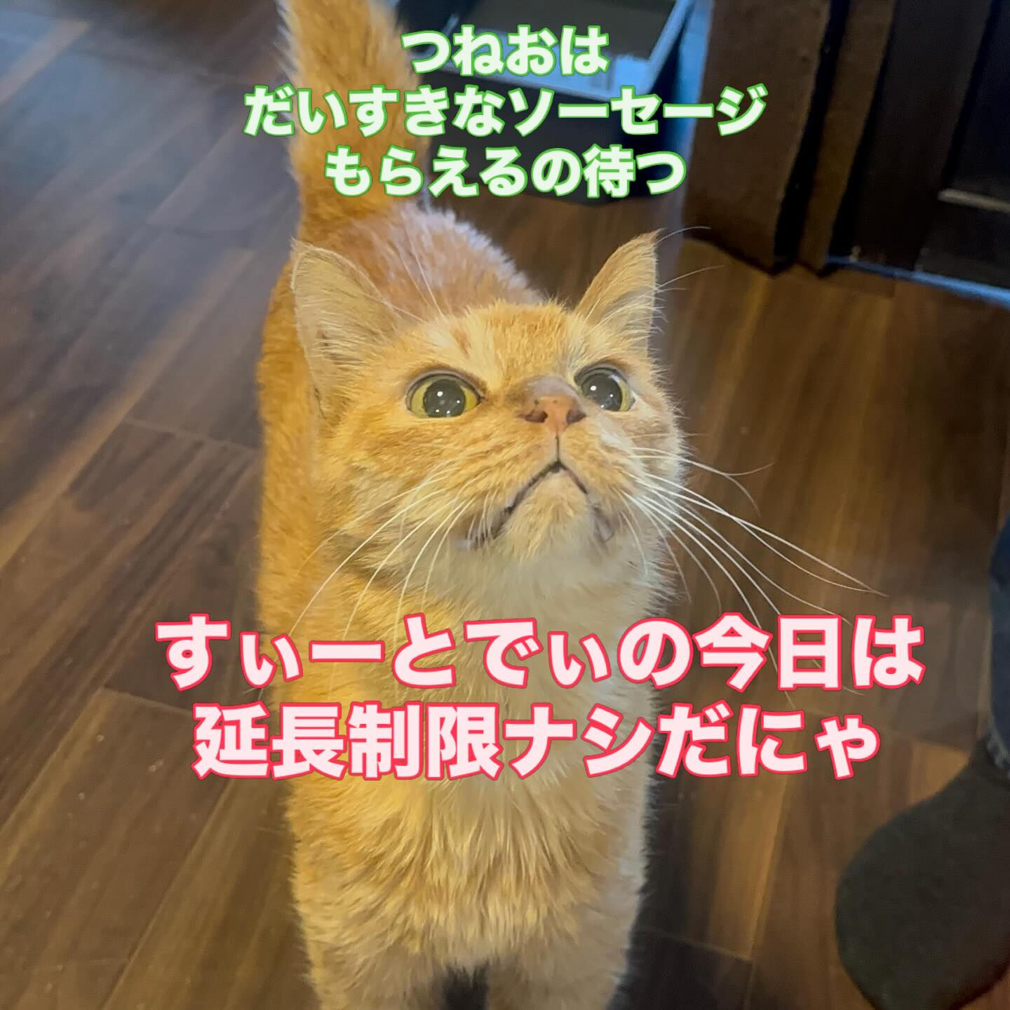 今日は水曜日💖