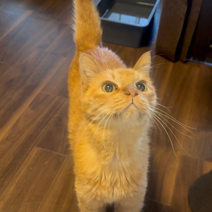 今日は水曜日💖