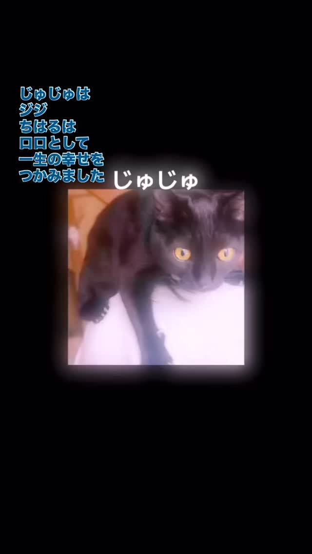 涙が出るくらい嬉しいよ😭