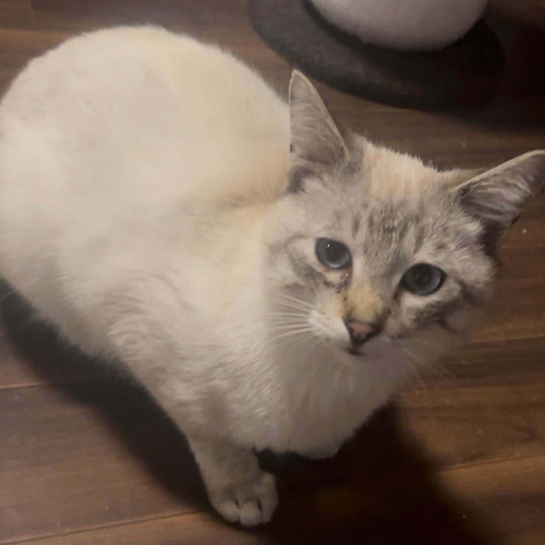 いつも誰かを探しています😭