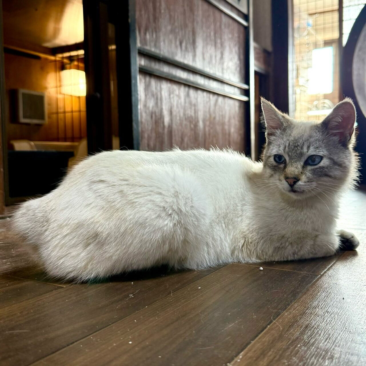 いつも誰かを探しています😭