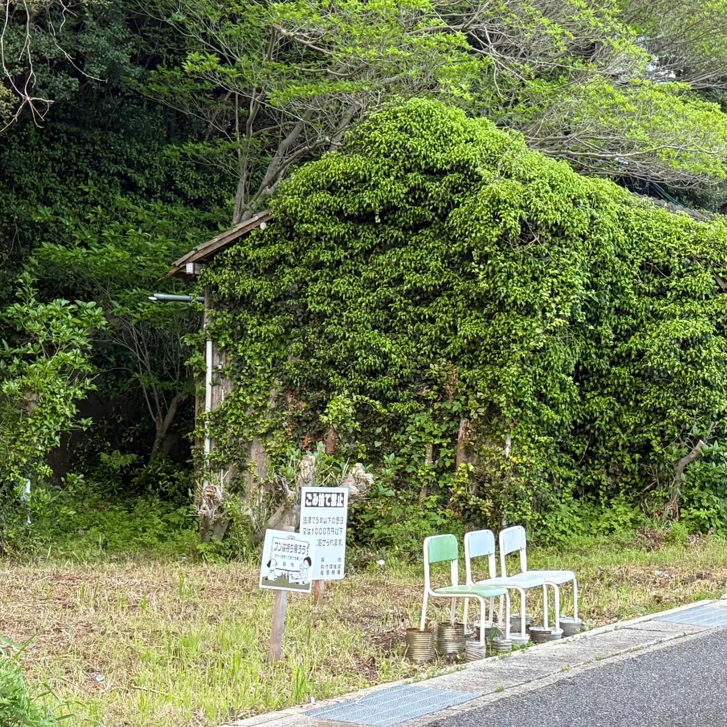 いつも誰かを探しています😭
