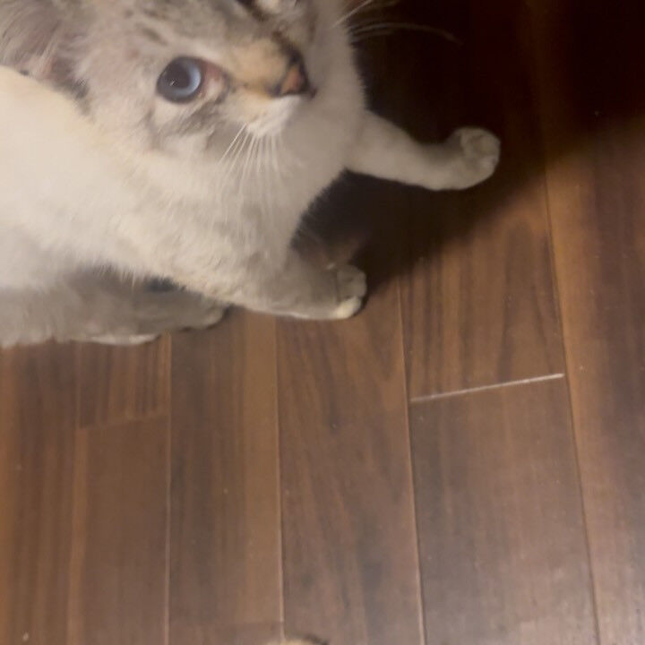 いつも誰かを探しています😭
