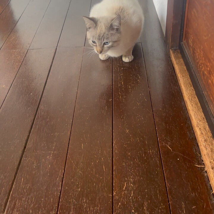 いつも誰かを探しています😭