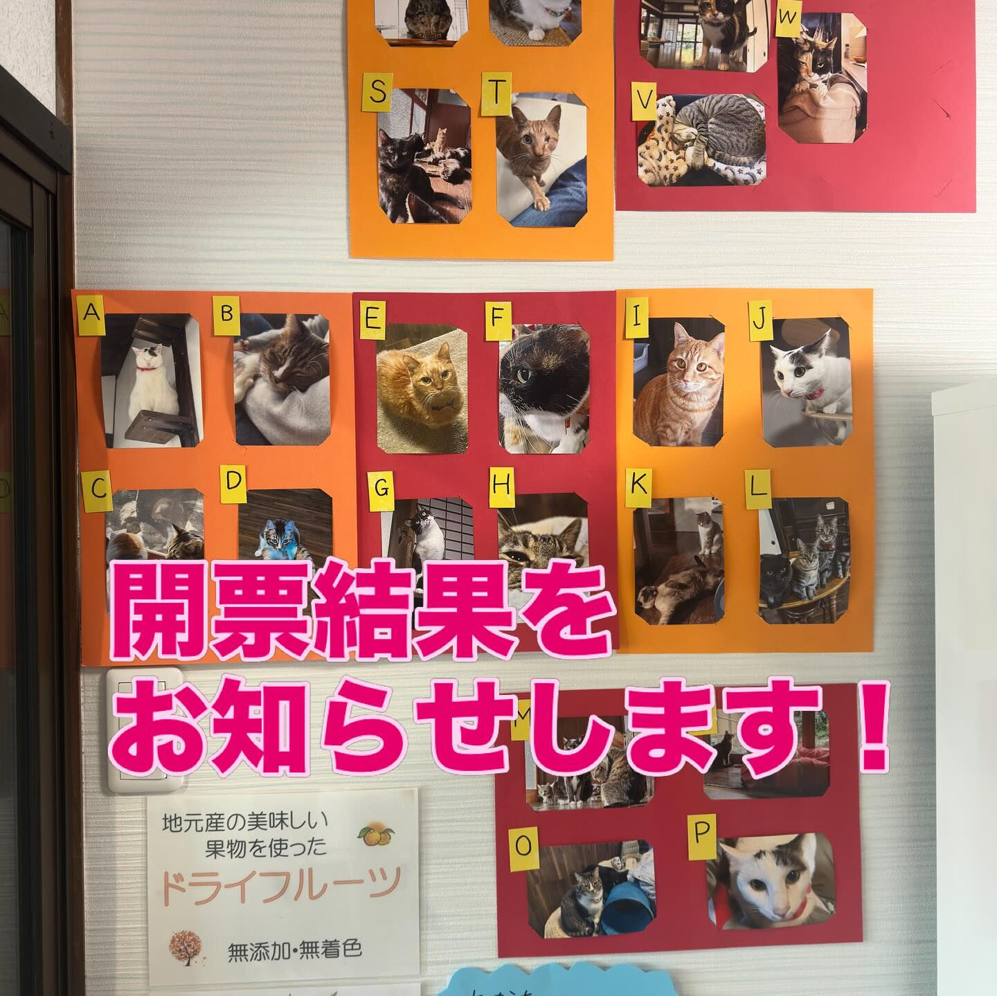 皆さまはどの写真が良かったですか😻