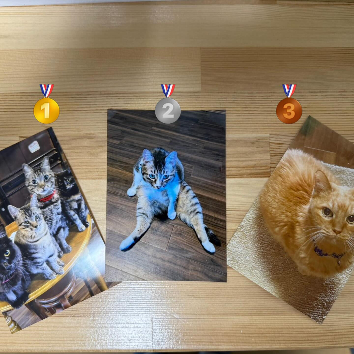 皆さまはどの写真が良かったですか😻