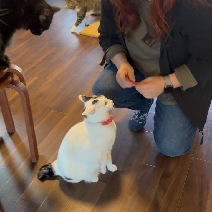 一週間前の土曜日🐾
