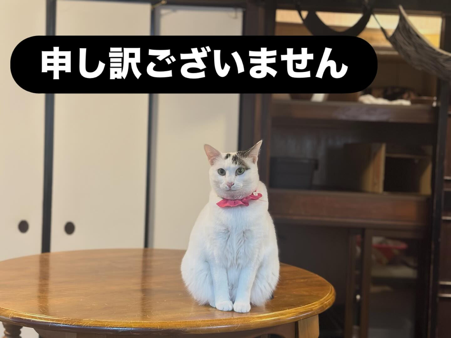初めてのお客さまへ