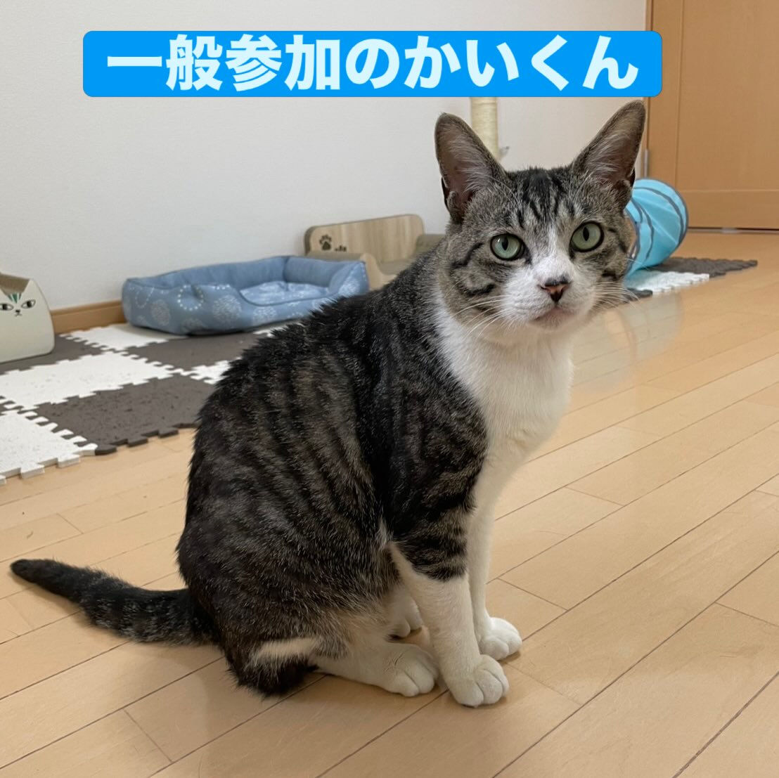 家族になってください🙏