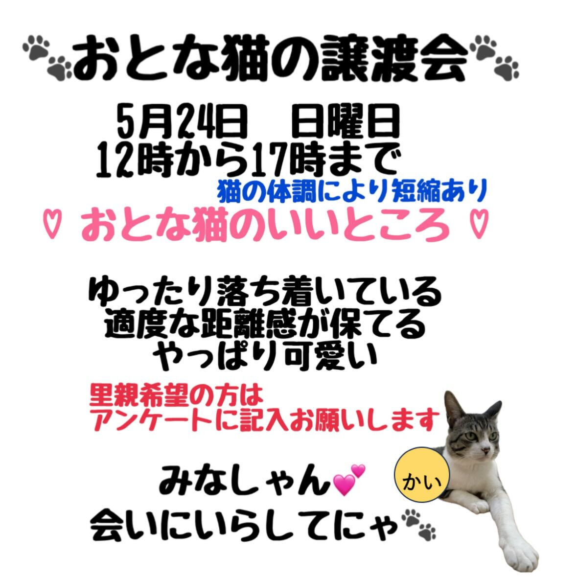 家族になってください🙏
