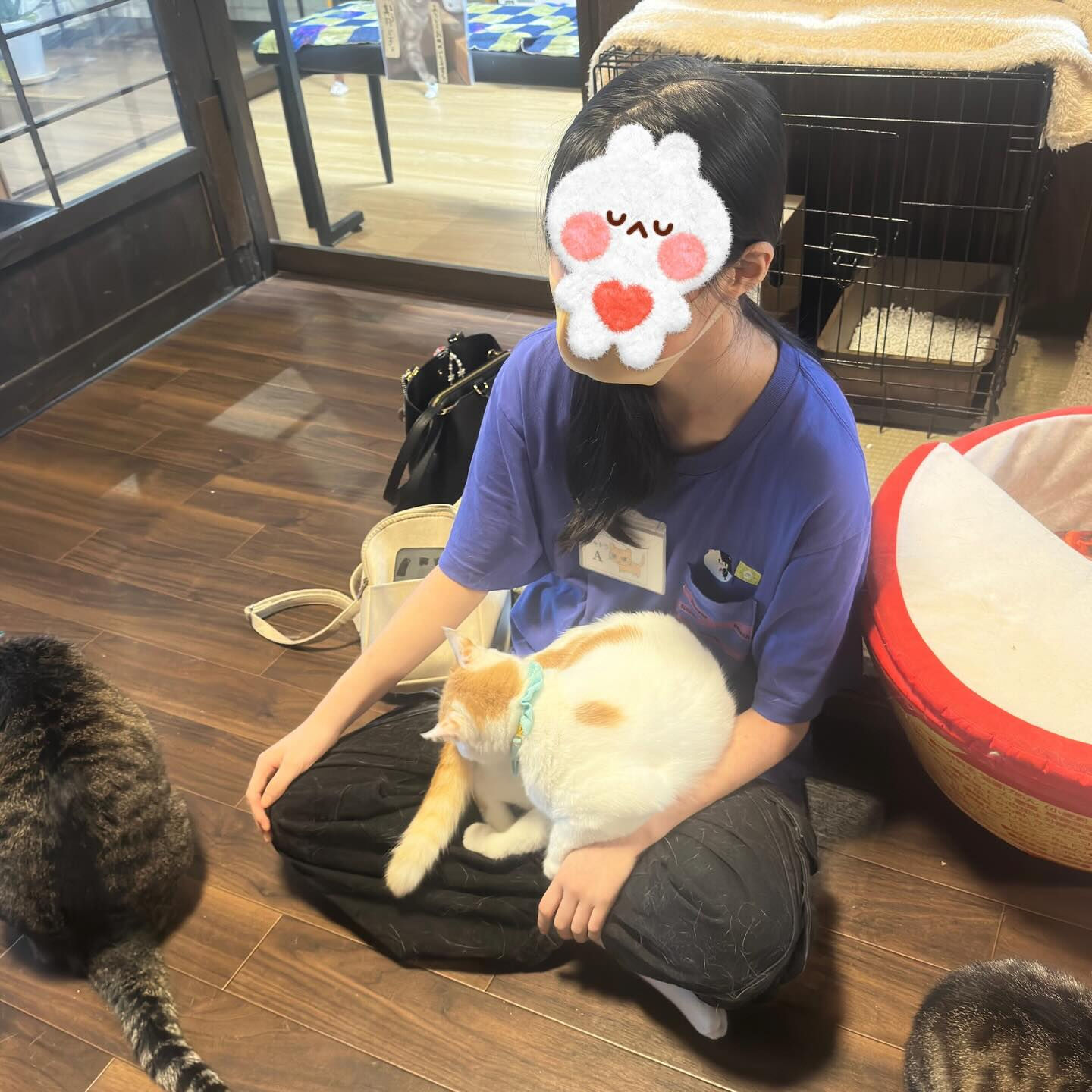 明日は一般のかいくん参加の譲渡会❣️