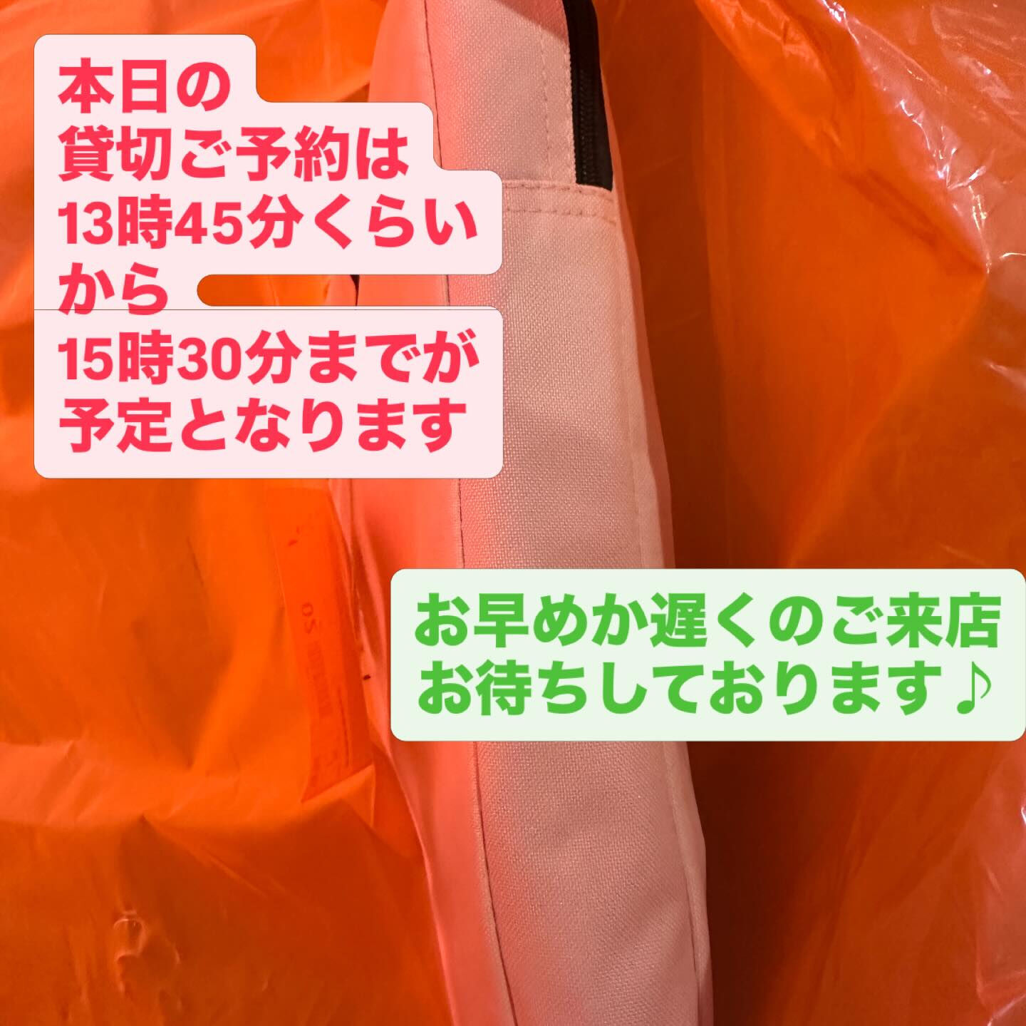 猫たちにありがとうございます♡