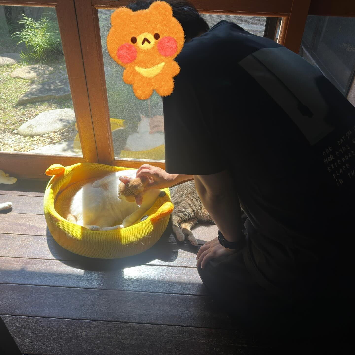 お土産いただき感謝です🙏