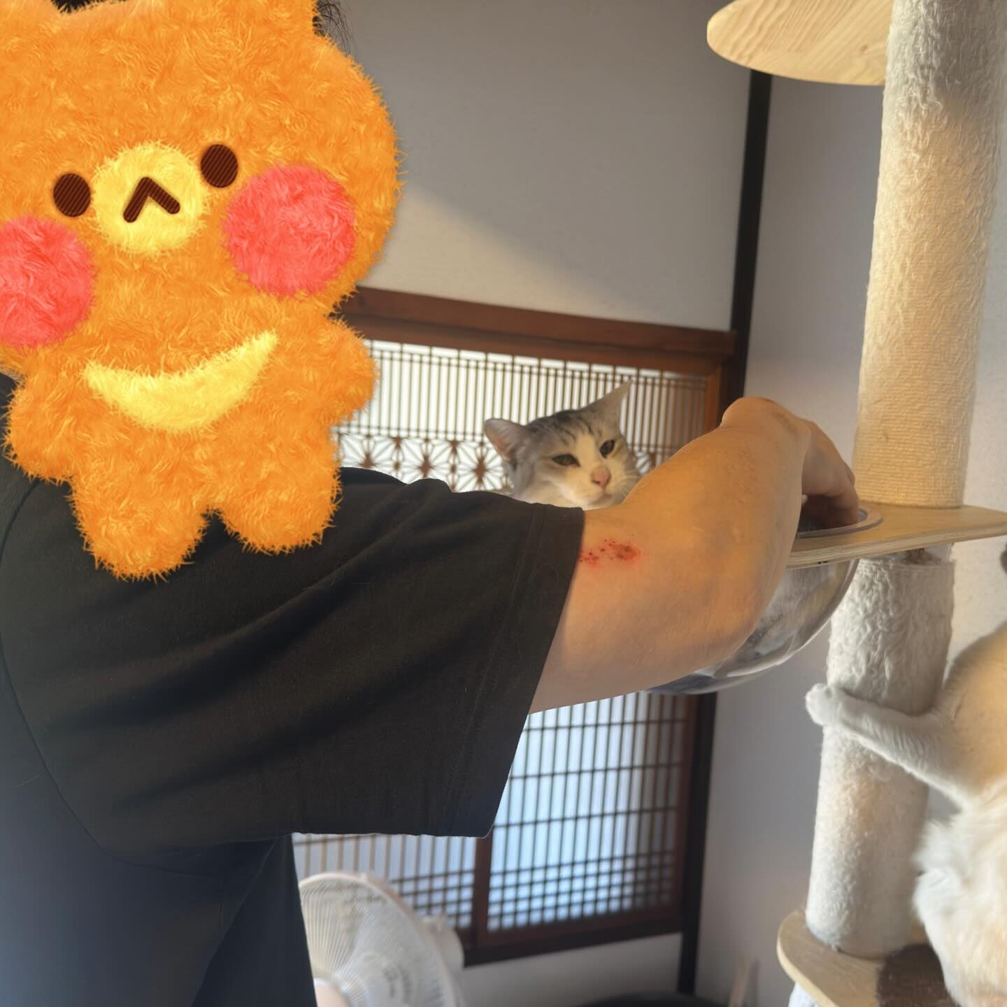 お土産いただき感謝です🙏