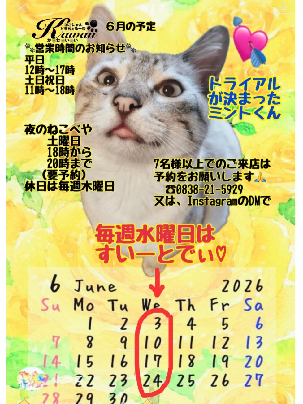 心地よい風が吹く日🌬️