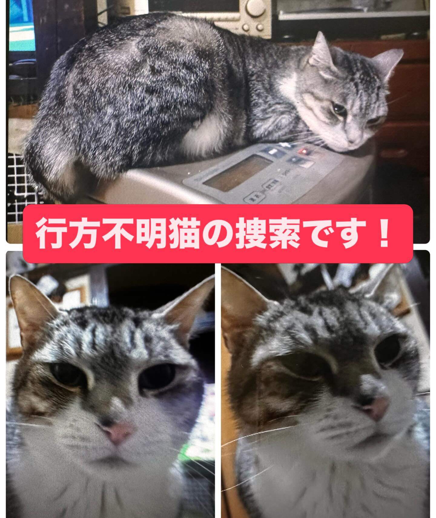 拡散お願いします‼️