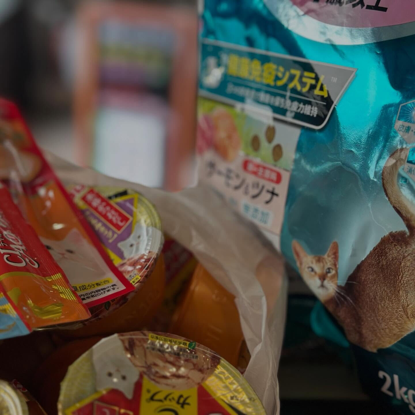 毎日が譲渡会🐈‍⬛